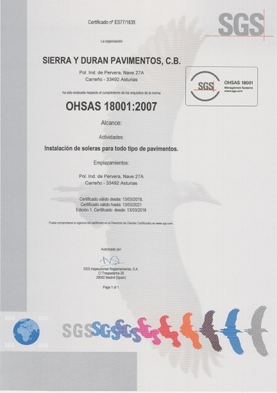 Sistema de Seguridad y Salud OHSAS 18001:2007